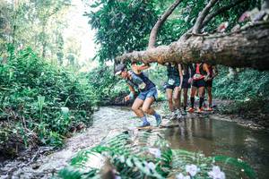 BIB: 
                            <button type="button" onclick="openModal(25445923)" class="btn btn-primary btn-sm float-right btn-popup" data-toggle="modal" data-target=".modal-high-quality">
                        <i class="fas fa-shopping-cart"></i> Add to Cart
                    </button>
                                            <button type="button" onclick="isThisMe(25445923, true)" class="btn btn-success btn-sm float-right btn-popup btn-isme hidden" data-toggle="tooltip" data-placement="bottom" title="นี่คือรูปของคุณใช่ไหม คลิกที่นี่เพื่อเอาเข้าอัลบั้ม">
                        <i class="fas fa-plus"></i> Add to album
                    </button>
                    <button type="button" onclick="isThisMe(25445923, false)" class="btn btn-warning btn-sm float-right btn-popup btn-isnotme hidden">
                        <i class="fas fa-ban"></i> Remove from album
                    </button>